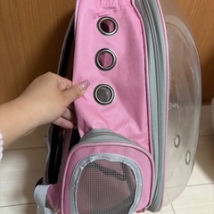 超小型犬猫用リュックサックバック🐶🐱の画像