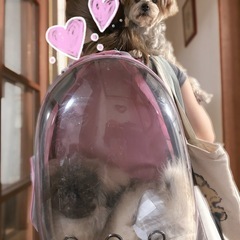 超小型犬猫用リュックサックバック🐶🐱の画像