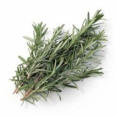 ☘️ローズマリー☘️剪定した枝の画像