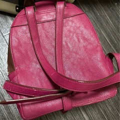 【あげます】ミニリュックの画像