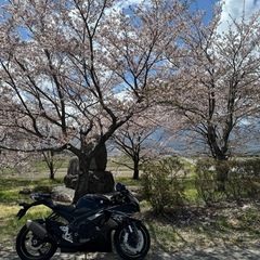 SUZUKI gsx-r600 の画像