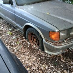 AMG-126.500SE-レストアーベース車販売-車検期間完了後永いストツクの車ですの画像