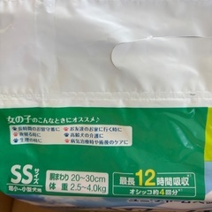 犬オムツ、マナーウェアの画像