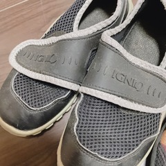 マリンシューズの画像