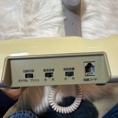 ✨《動作OK》カシムラ SS-07 停電時も使えるシンプルフォン 固定電話✨の画像
