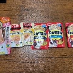 猫ちゃんご飯の画像