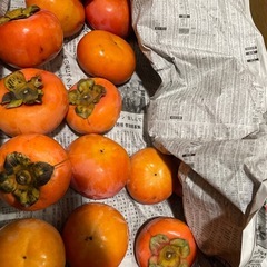 今年ラスト！九度山産富有柿　和歌山県産　甘柿　単品　お取引可能ですの画像