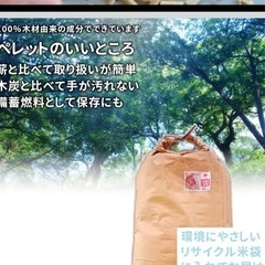 猫砂ペレット　崩れるタイプの画像