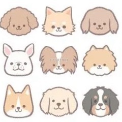 12月7日お届け予定　恵比寿　犬の保護施設へご飯を集めて届…