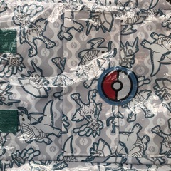 「急募、手渡し希望」ポケモンプラチナムザッカスクエアリュックVol2 の画像