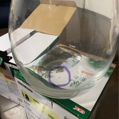 GEX 緑を楽しむ　アクアリウムの画像