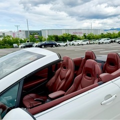 プジョー 308cc 後期の画像