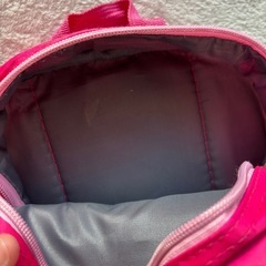 パウパトロール　スカイ　リュック　リュックサックの画像