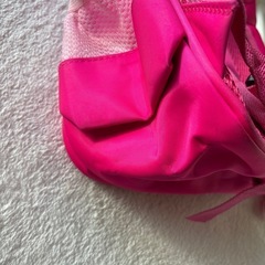 パウパトロール　スカイ　リュック　リュックサックの画像