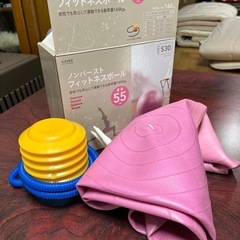 ノンバーストフィットネスボール55cm
の画像