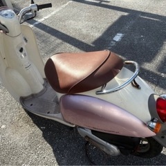 ホンダ スクーピーの画像