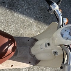 ホンダ スクーピーの画像