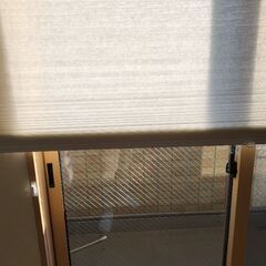 ニトリ コードレスハニカムスクリーンの画像