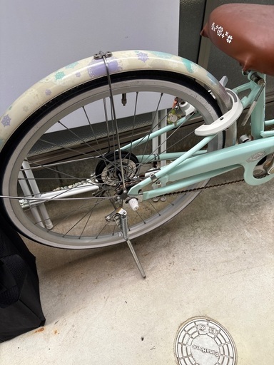 ブリヂストン 子供用自転車 リコリーナ ミントグリーン 22インチ