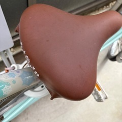 ブリヂストン　子供用自転車　リコリーナ　ミントグリーン　22インチの画像