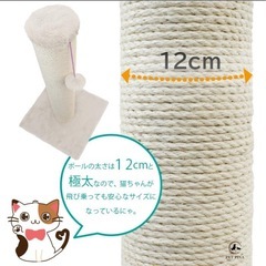 爪研ぎポールの画像