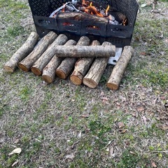 サンゾー工務店ロダンとキューティーと純正ブラックバックセットの画像