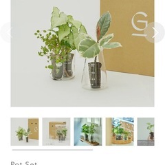 水耕栽培の画像