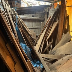 杉の木 diyや薪にどうぞの画像