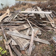 杉の木 diyや薪にどうぞの画像