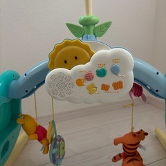 プーメリーの画像