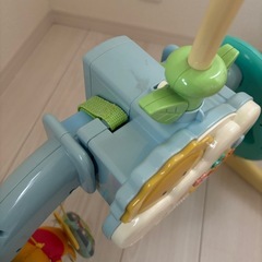 プーメリーの画像