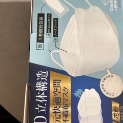 3D 立体マスク　30枚入り（実際27枚）の画像