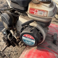 ヤンマーの画像