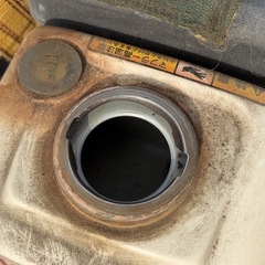 ヤンマーの画像