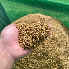 【新米】岡山県高梁市産R7年 ひとめぼれ 30kg棚田米③の画像