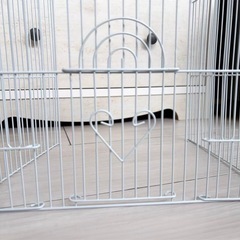 マルカン/minimal LAND バードパレスフォレストの画像