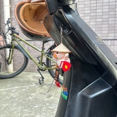 セピアスズキの画像