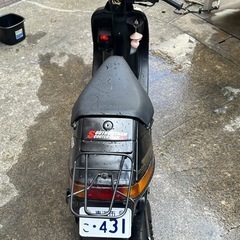 セピアスズキの画像