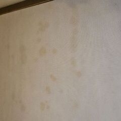 収納付き！セミダブルベッドフレームの画像