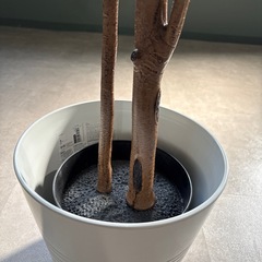 IKEA 人工観葉植物の画像