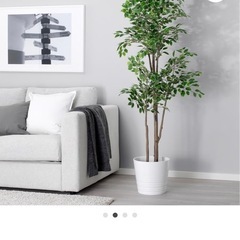 IKEA 人工観葉植物の画像