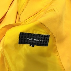 Lサイズ矢沢永吉　　Wカラースーツの画像