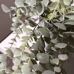 IKEA 人工観葉植物　2種セットの画像