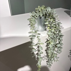 IKEA 人工観葉植物　2種セットの画像