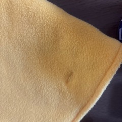 これからの季節にピッタリの画像