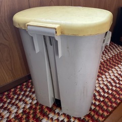 ゴミ箱45L ペダル良好の画像