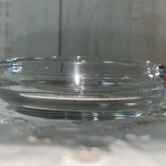 J660⭐️灰皿8個まとめ売り！　　の画像