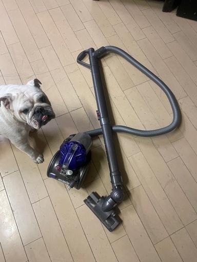 ダイソン掃除機