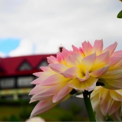 「変わりたいけど変われない」あるあるな悩みの相談相手になります