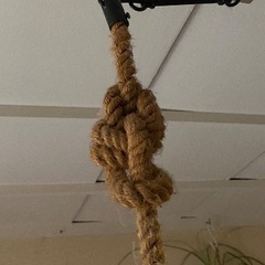 アイアン　照明の画像